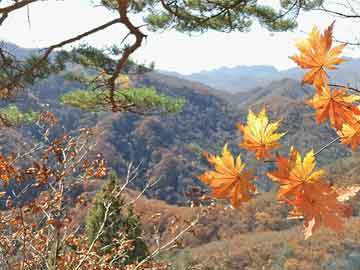 宮墨軒，背景揭秘、重大事件與時代地位回顧