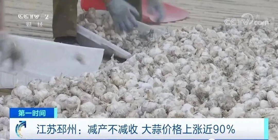 邳州大蒜今日行情更新，新鮮市場(chǎng)動(dòng)態(tài)解析