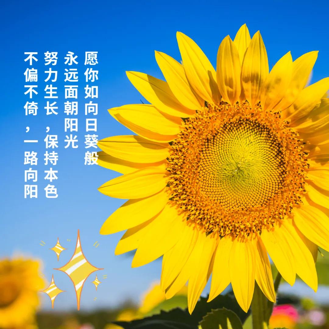 第764頁(yè)