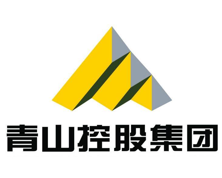 青山控股是否上市？解析其上市計(jì)劃與現(xiàn)狀