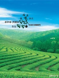 大益行情網(wǎng)東和茶葉，茶情交融，品味情感的世界