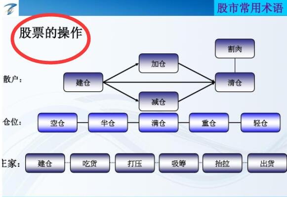 科技賦能股市，引領(lǐng)你進(jìn)入炒股票的新世界！