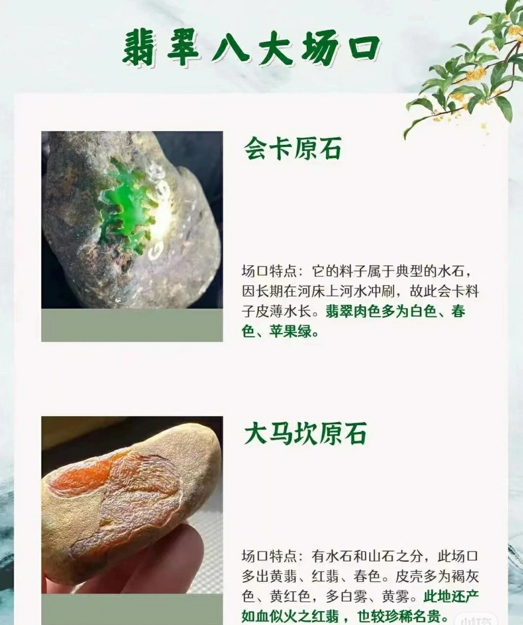最新翡翠場(chǎng)口深度論述，探索翡翠原石的新發(fā)現(xiàn)與奧秘