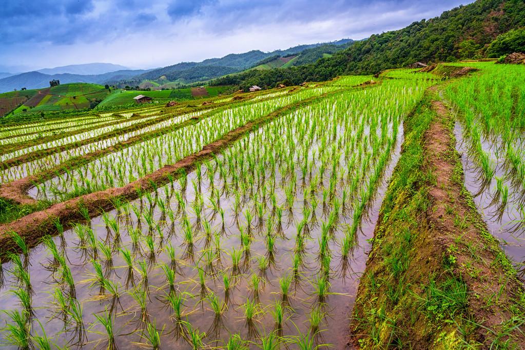 疫情控制最新動(dòng)態(tài)更新，最新進(jìn)展與趨勢(shì)分析