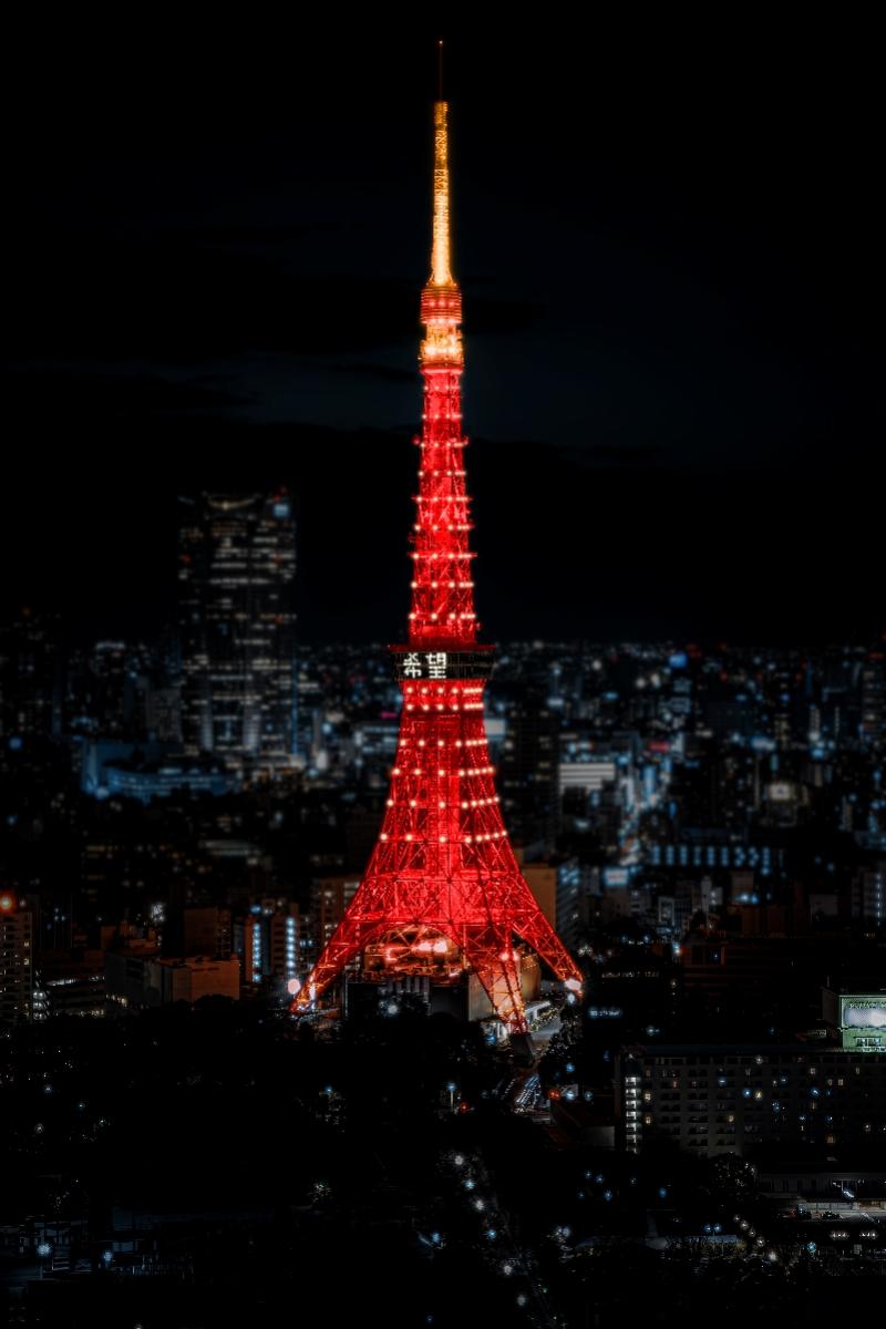 探索東京無限魅力，最新東京網(wǎng)站帶你暢游東京之巔