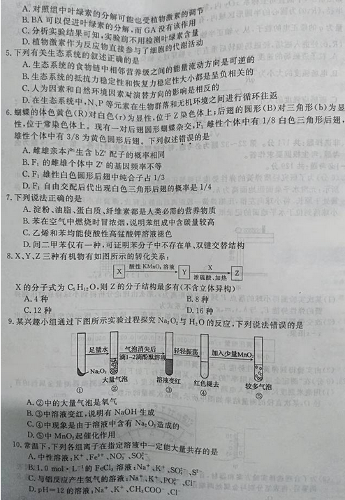 最新概念答案，擁抱變化，自信成就夢想之旅