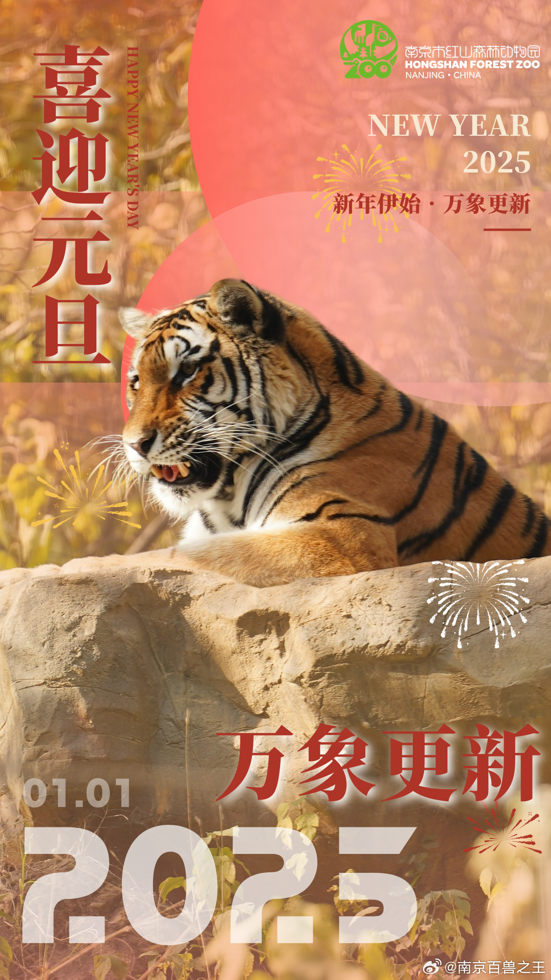 最新年伊始，完成某項(xiàng)任務(wù)或?qū)W習(xí)某種技能的詳細(xì)步驟指南