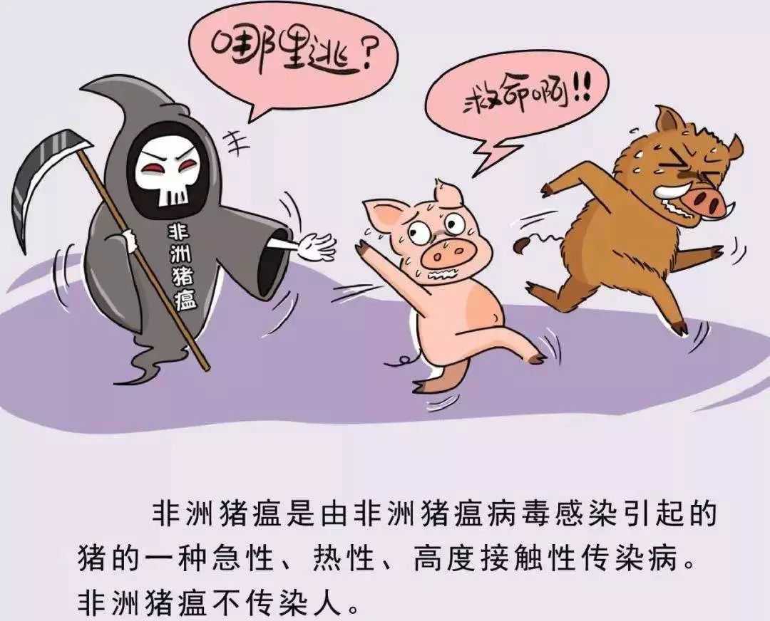 最新病毒實(shí)情與小巷深處的神秘美食探秘之旅