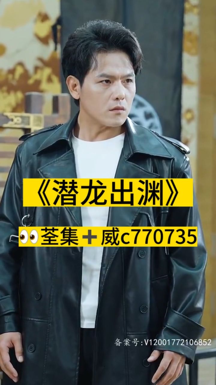 淘龍最新視頻，日常趣事與愛(ài)之陪伴