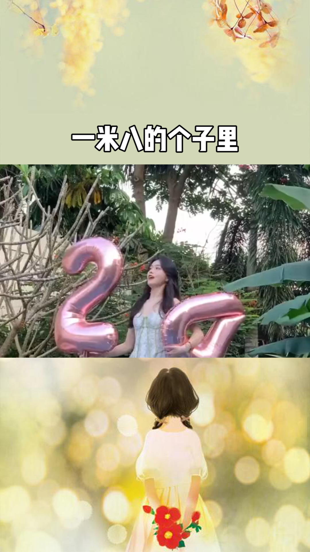 探尋奇幻世界的冒險(xiǎn)與奧秘，公主一米八最新章節(jié)
