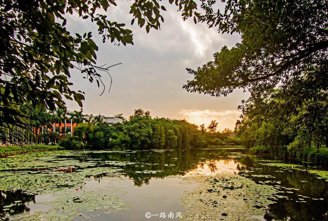華南海域最新天氣報告，探索自然美景之旅，尋求內(nèi)心寧靜與平和的旅程