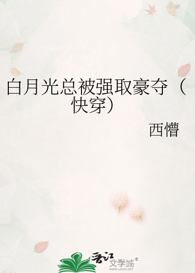 程旖柔沈涅最新章節(jié)，深度解析、展望與角色發(fā)展全揭秘